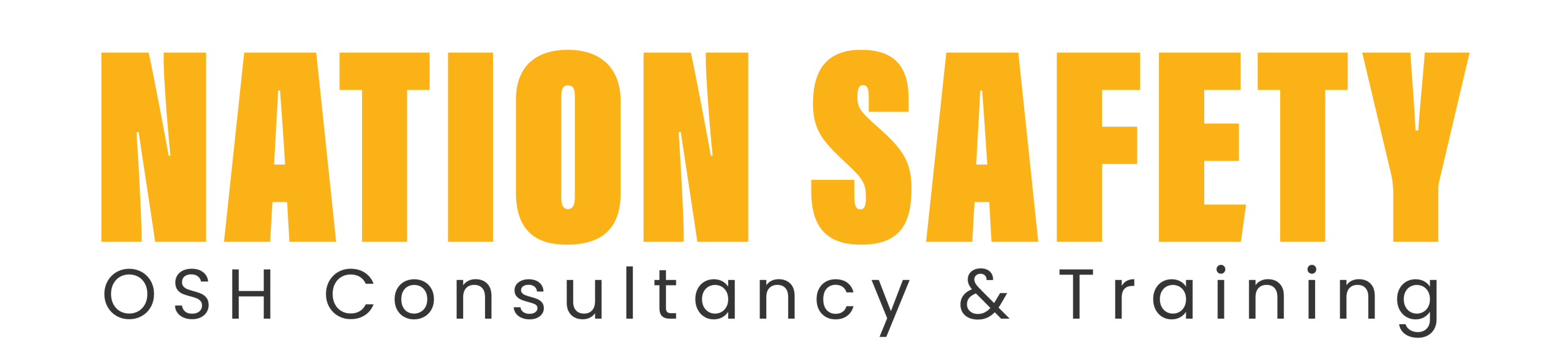 NATION SAFETY LOGO final-01